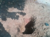 imag0740
